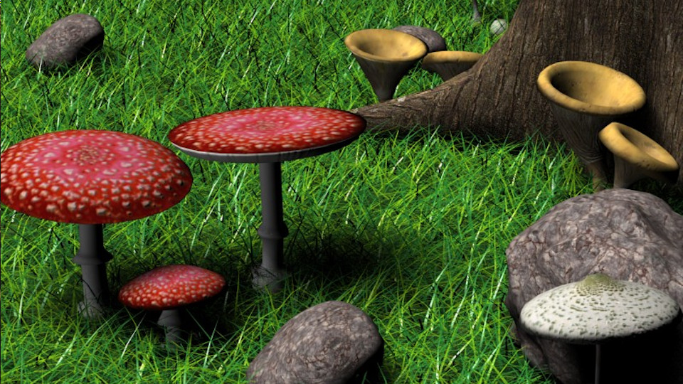 Interactive Modeling of Mushrooms